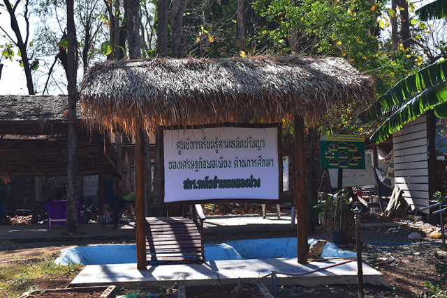 1741675899939_556_g1