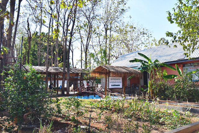 1741675900527_556_g2