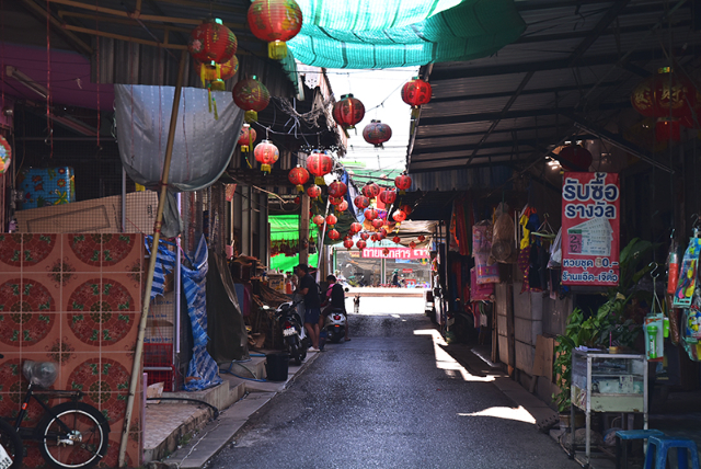 1741676284105_561_g1