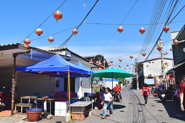 1741676285622_561_g4