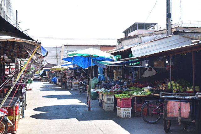 1741676286077_561_g5