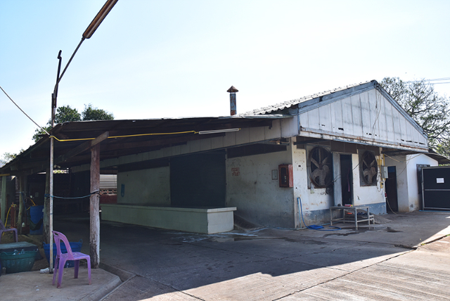 1741676290176_561_g13