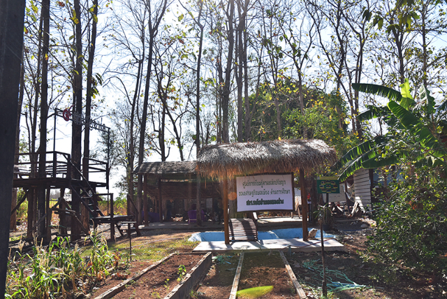 1741676290176_561_g13