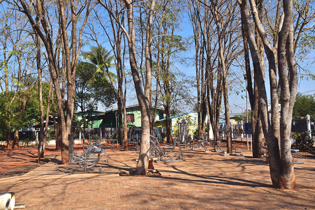 1741676336803_562_g2