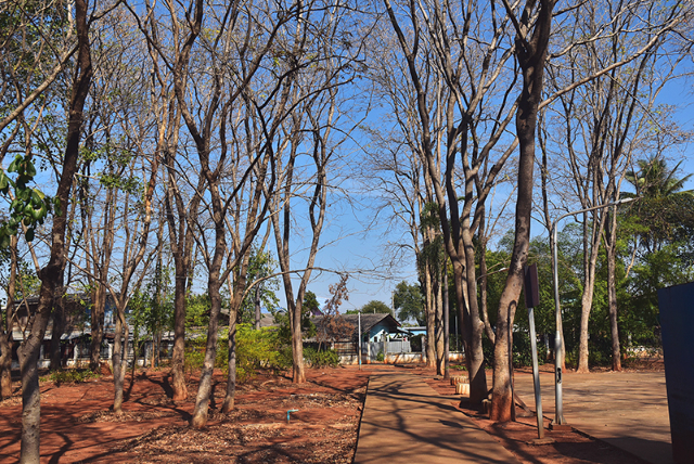 1741676338446_562_g5