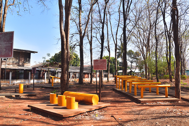 1741676341267_562_g10