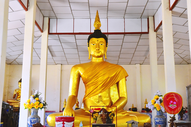 1741676419889_564_g1