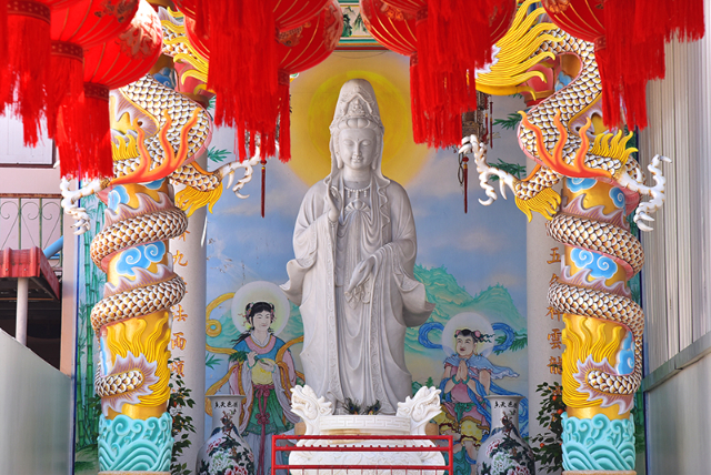 1741676459166_565_g1