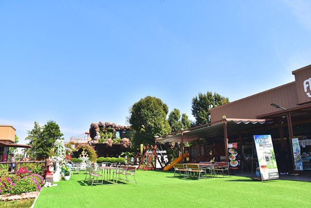 1741676526977_566_g2