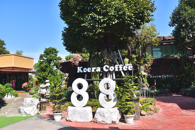 1741676528022_566_g4