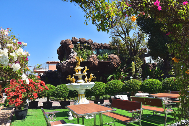 1741676529601_566_g7