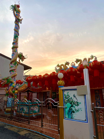 1747623637051_565_g1