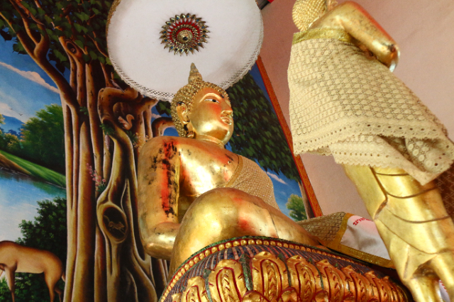 1747623994957_563_g0