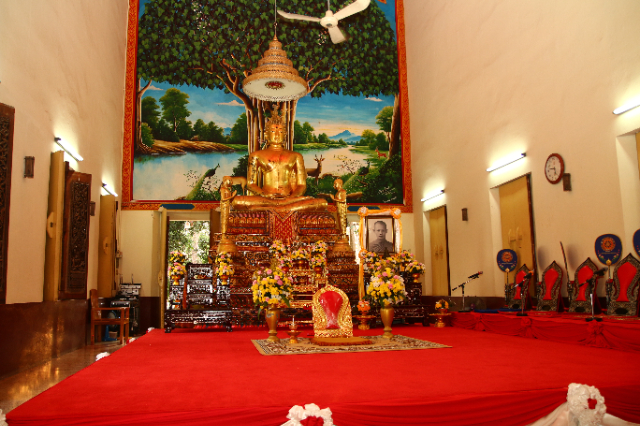 1747625266550_565_g0